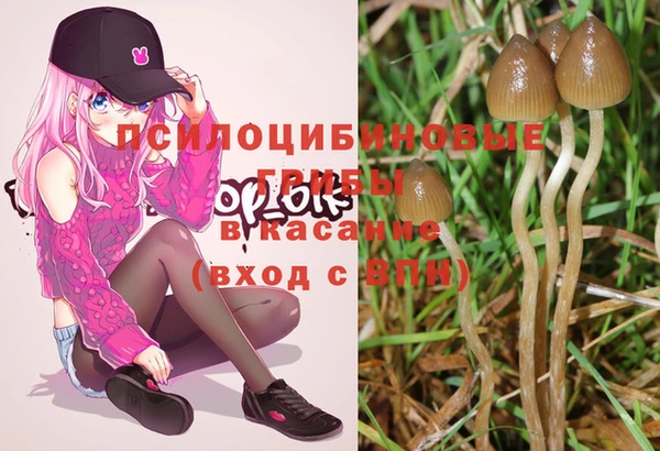 MESCALINE Армянск
