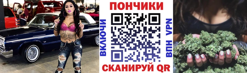 Бошки Шишки план  Сортавала 